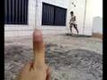Aliança da Crueldade