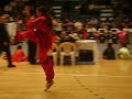 Kari - Xing yi quan