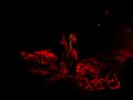 Anna Vissi - Se Thelo [with Dimitris Korgialas]
