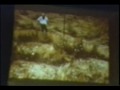 the-pleiadian-mission-billy-meier-ufo-case-pt-4-of-12.html