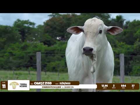 1� De Olho na Fazenda - Terra Nobre