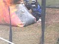Tippmann Factory (2008) vs BRBoyz at CFOA XBall #1 D3. Tippmann Factory (2008) vs BRBoyz at CFOA XBall #1 D3.