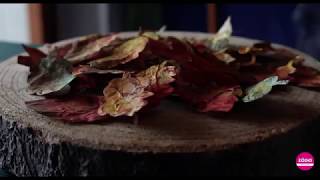 L’autunno e i suoi colori…