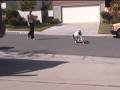 Splash's Skateboarding Adventures