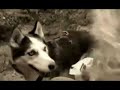 For KIRA. \"Now that you�re gone\" (LIVE)