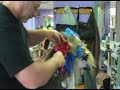 Foil Hi-lights  [part 3 of 3]