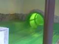 swimming pool POOL HAVUZ DA REKOR DENEMESİ