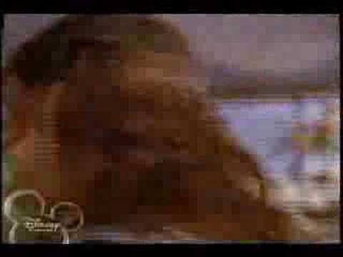 Just What I Need - Rufus King