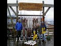 Seward Fishing