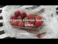 Liittym� t�ynn� herkkuja