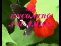videos de MARIPOSA alicia martínez durán