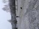 Volavka cislo 1 Volavka cislo 1