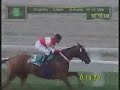 Che Bailarin y Dancer's Pride empataron el Clásico Ayacucho 2009 (G3) Hipódromo Palermo