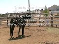 i had a clinic to do so i took sunka wa kan to his first outing. he did great this is just some tid bits out of it.
 david lee archer http://thesmokeyjoe.om