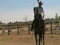 i had a clinic to do so i took sunka wa kan to his first outing. he did great this is just some tid bits out of it.
 david lee archer http://thesmokeyjoe.om