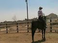 i had a clinic to do so i took sunka wa kan to his first outing. he did great this is just some tid bits out of it.
 david lee archer http://thesmokeyjoe.om