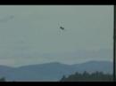 F-117 Nighthawk Display at Oregon International Airshow 2007