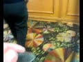 SCARING PEOPLE WITH COCKROACH 9