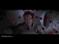 American Beauty - Videos - 7