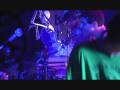 videos de animal collective unsolved mysteries