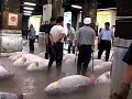 Tsukiji, Allan Sekula