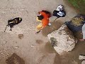 Aleix probant Pequeño Bravo 7c Aleix probant Pequeño Bravo 7c