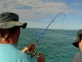 Snapper on 8lb braid  and  Gulp Smelt Soft bait