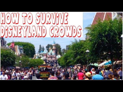 how to do disneyland