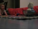 Nanjing Baby, Motivated Crawling