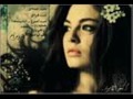 احمد الهرمي كذبت.wmv