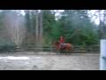 riding at home2 riding at home2