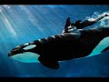Vincent De Moor - Shamu (Armin Van Buuren Mix)