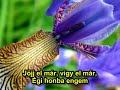 Vágyom én Vágyom én