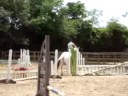 Carly Riding Molly on 7/1