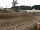 vid�o sur les chevaux