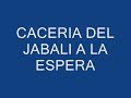 Ver vídeo