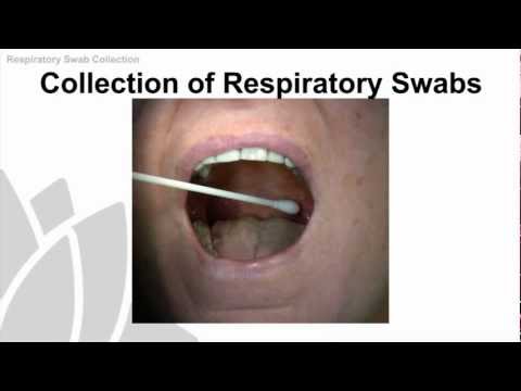 how to collect mrsa swab