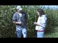 videos de Sweet Sorghum Sugar Testing