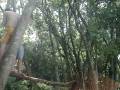 videos de lol 084.MPG
