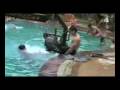  - MovieZen Video