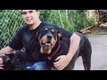 Rocco R.I.P.
