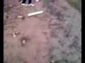 videos de Dry ice cannon