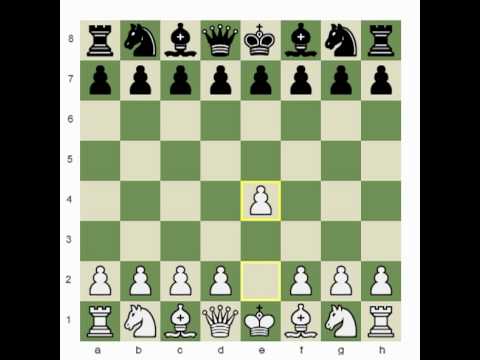 chess computer