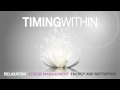 Timing Within - Mindscape Meditation (YouTube Trailer)