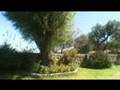 Sabandia Mill Views - Arequipa - Peru