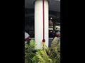 東京ディズニーランド　2020年8月9日　ベイマックス　試運転　Tokyo Disneyland The Happy Ride with Baymax