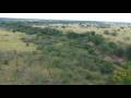 videos de Tharp in Africa Baloon Ride 2