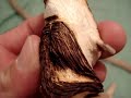 EDDY'S WOOD CARVINGS ,   #2      ( 9/5/07)