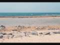 videos de Puerto Rico