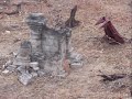 imagenes del set de filmacion de la pelicula de avatar